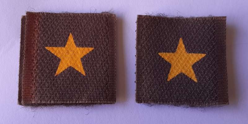 Pair SADF Star Rank Badges.