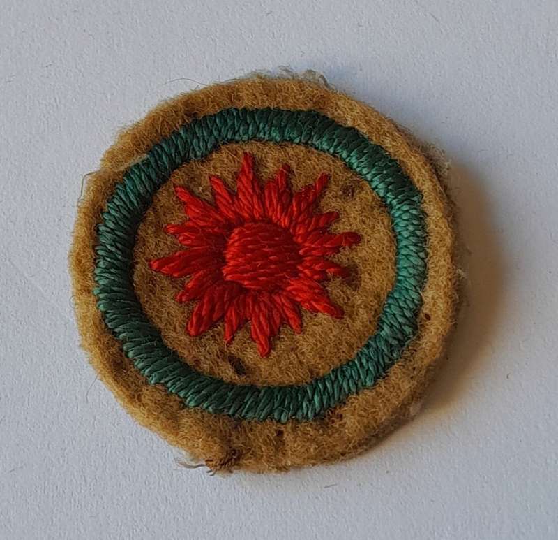 Vintage Boy Scouts Naturalist Proficiency Badge.