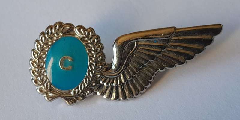SA Airforce Flight Chief Metal Wing Badge.  Pins Intact.