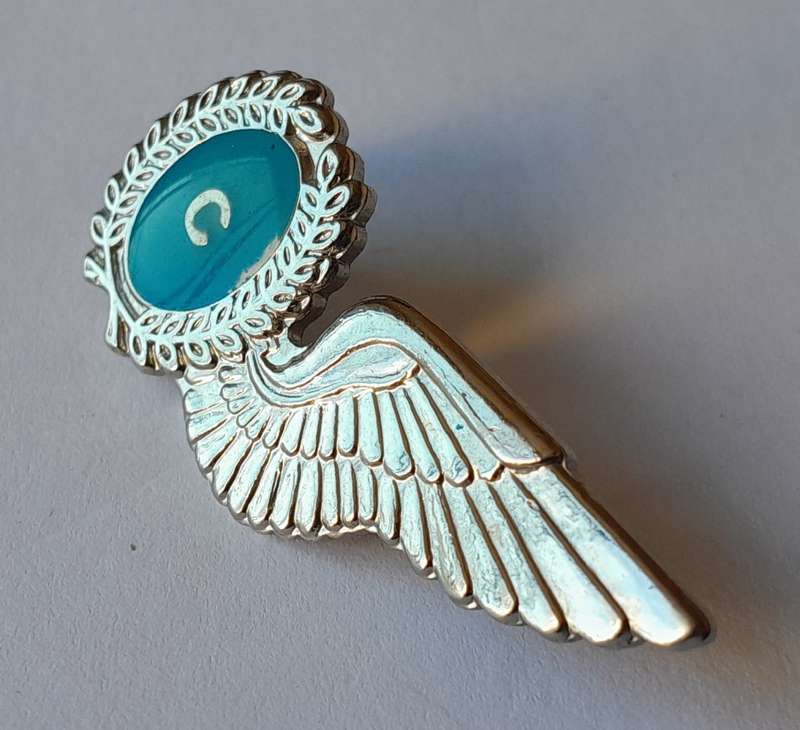 SA Airforce Flight Chief Metal Wing Badge.  Pins Intact.