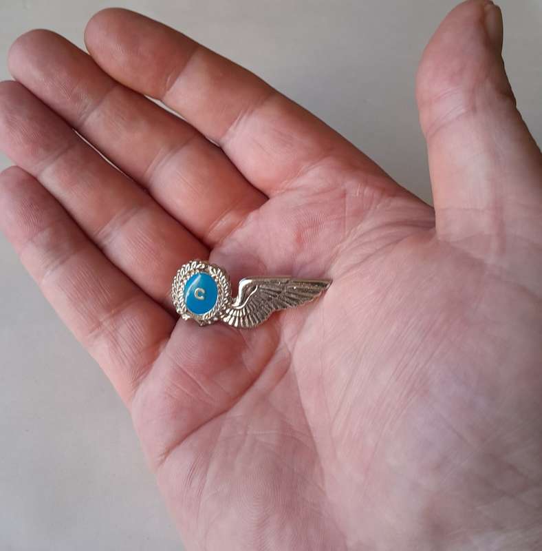 SA Airforce Flight Chief Metal Wing Badge.  Pins Intact.