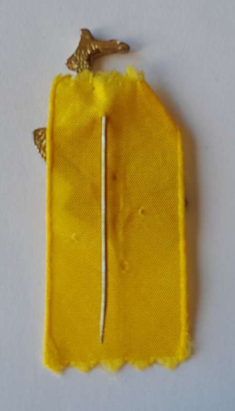 Vintage 1960 South African Rugby Pin Badge