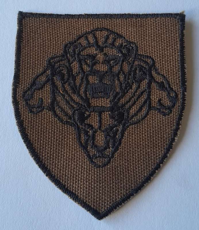 Pair SADF `Pride of the Nation` Flashes.