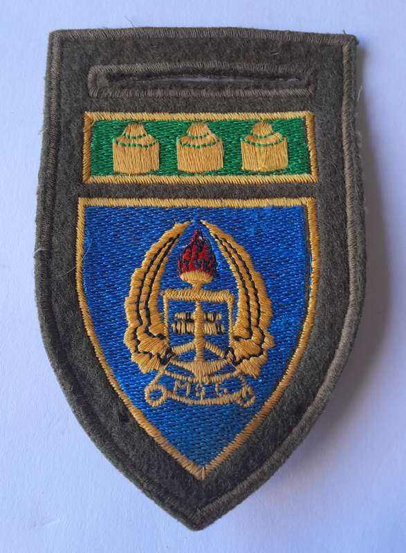 SADF Army Gymnasium Tupper Flash.  Pin Intact.