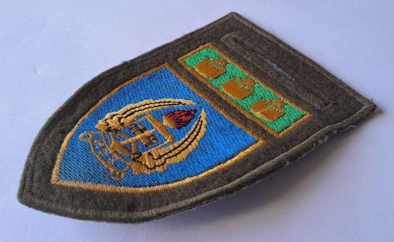SADF Army Gymnasium Tupper Flash.  Pin Intact.