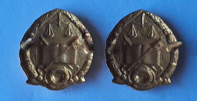Vintage Pair SA Prison Services Collar Badges.  Pins Intact.