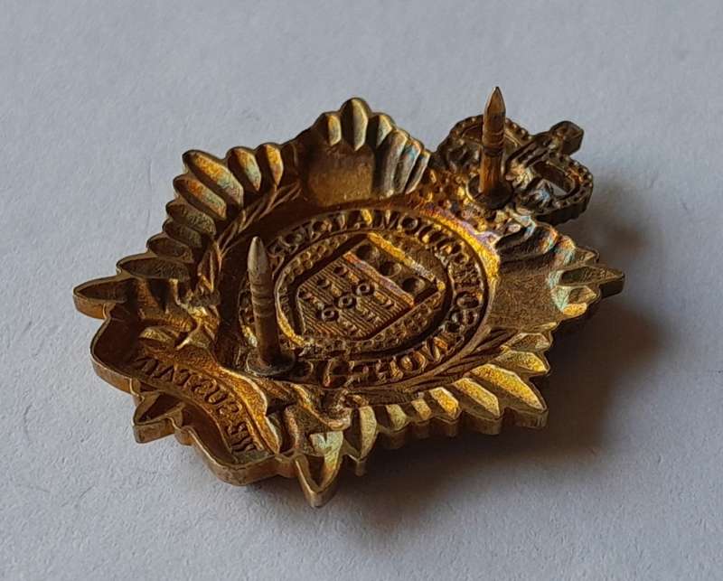 Royal Logistics Corps Collar Badge.  Pins Intact.