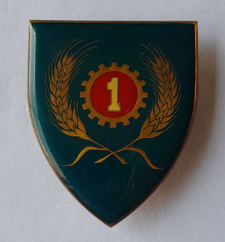 SADF 1 Maintenance Unit Shoulder Flash.  Pins Intact.