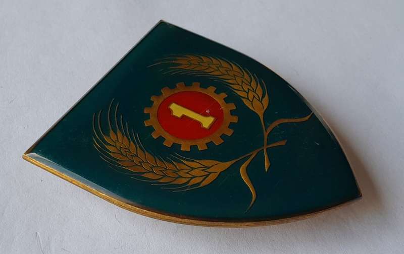 SADF 1 Maintenance Unit Shoulder Flash.  Pins Intact.