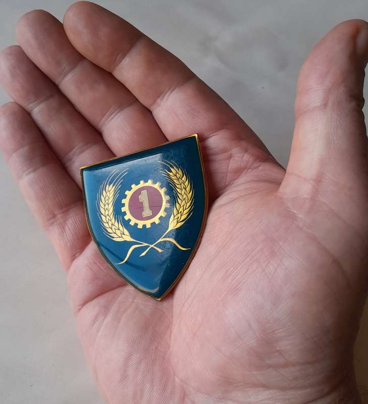SADF 1 Maintenance Unit Shoulder Flash.  Pins Intact.