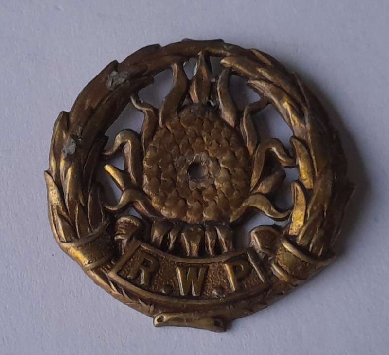 Regiment Western Province Badge.  Holed.  No Lugs.