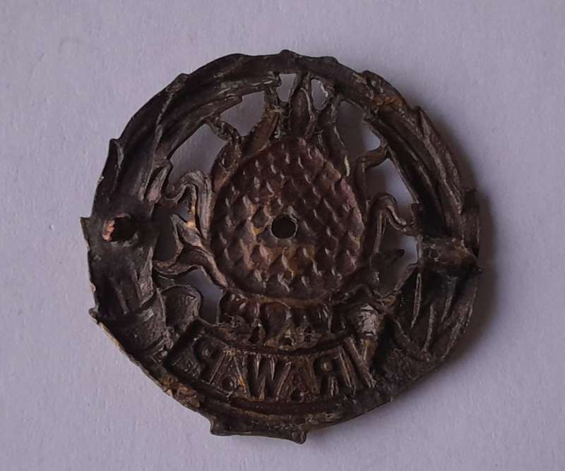 Regiment Western Province Badge.  Holed.  No Lugs.