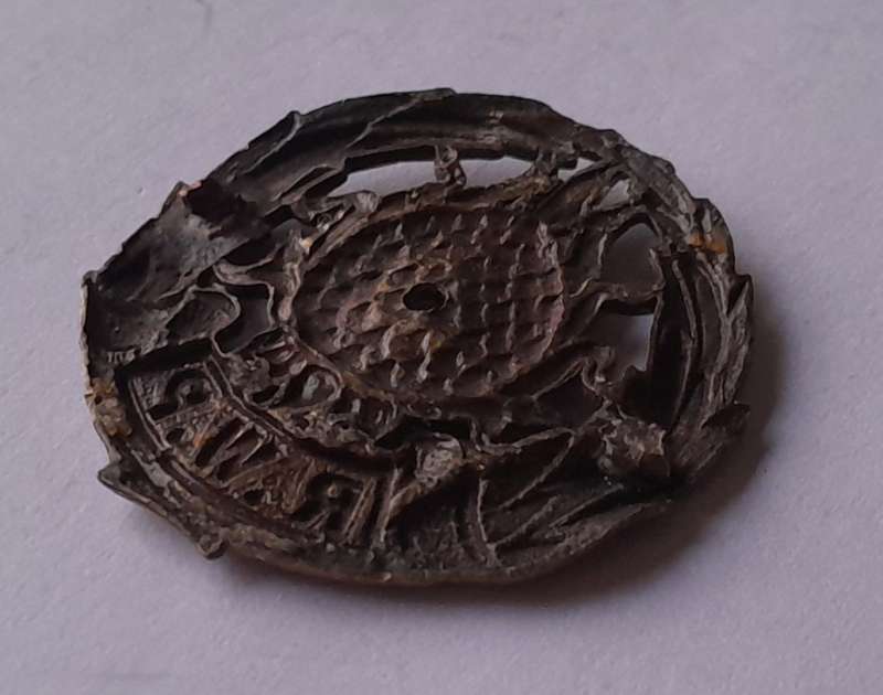 Regiment Western Province Badge.  Holed.  No Lugs.