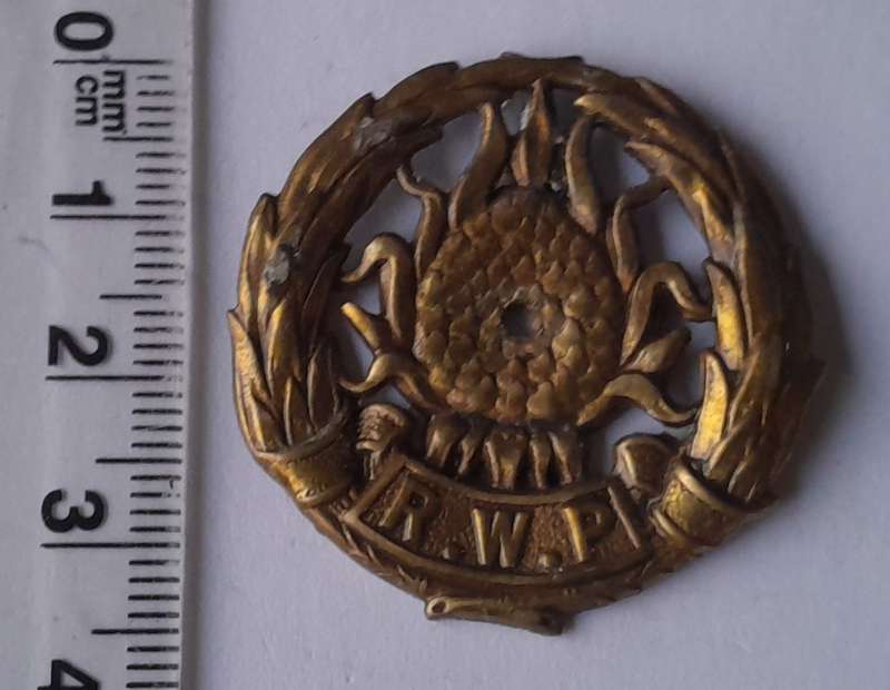 Regiment Western Province Badge.  Holed.  No Lugs.
