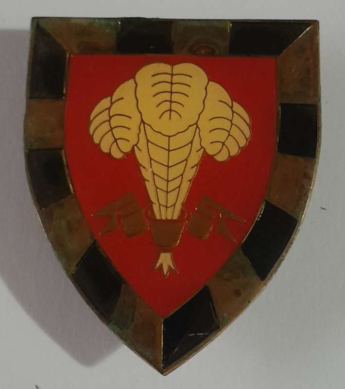 SADF 1 South African Infantry (1 SAI) Battalion Shoulder Flash.  All Pins Intact.