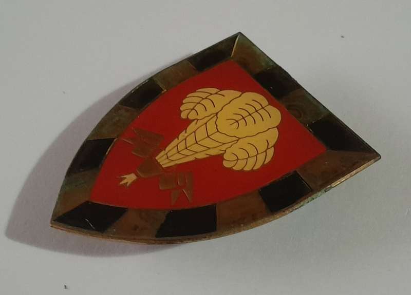 SADF 1 South African Infantry (1 SAI) Battalion Shoulder Flash.  All Pins Intact.