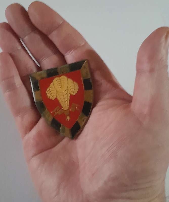 SADF 1 South African Infantry (1 SAI) Battalion Shoulder Flash.  All Pins Intact.