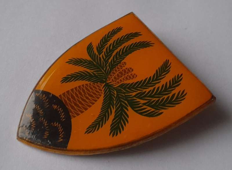 SADF 4 South African Infantry (4 SAI) Battalion Shoulder Flash.  2 Pins Intact.