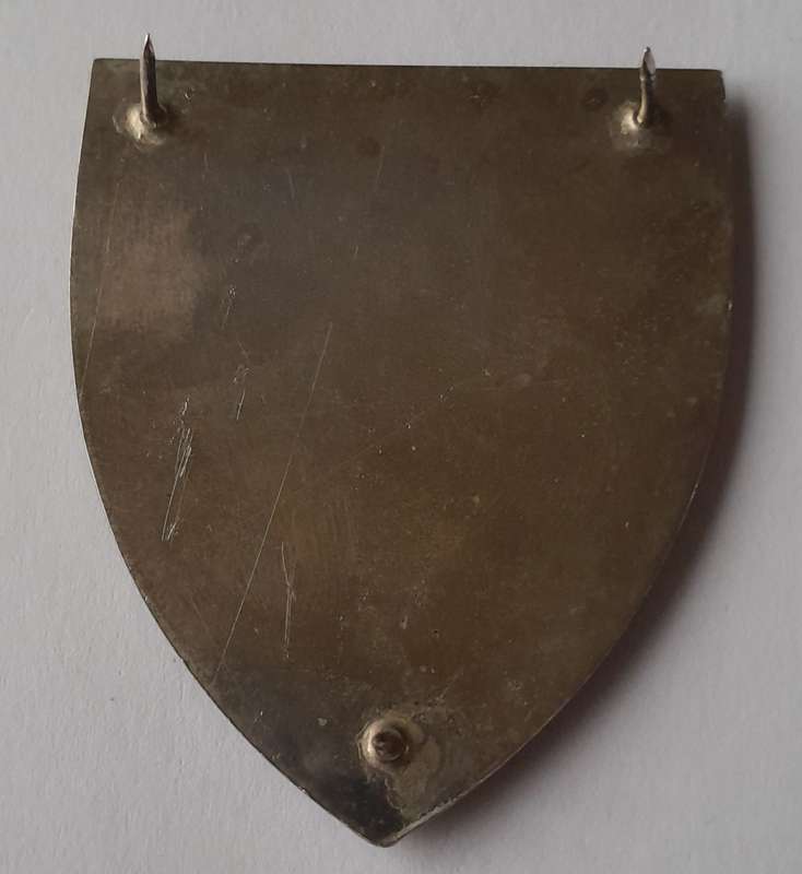 SADF 4 Vehicle Reserve Park (4VRP) Unit Shoulder Flash.  All Pins Intact.