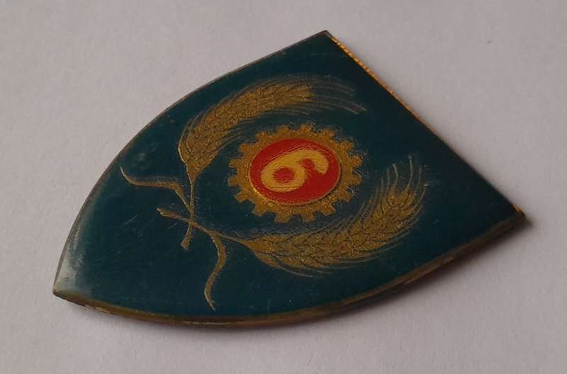 SADF 6 Maintenance Unit Shoulder Flash.  No Pins.