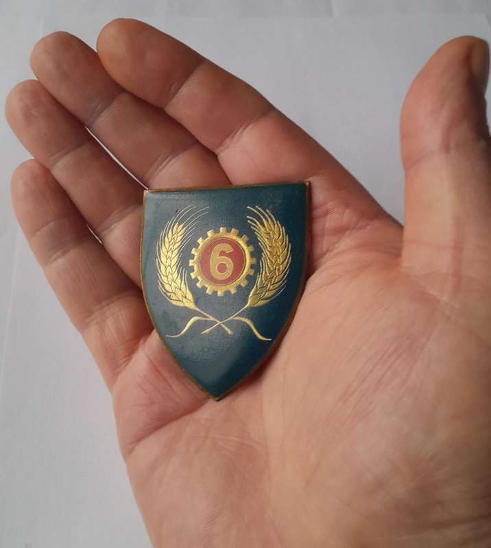 SADF 6 Maintenance Unit Shoulder Flash.  No Pins.
