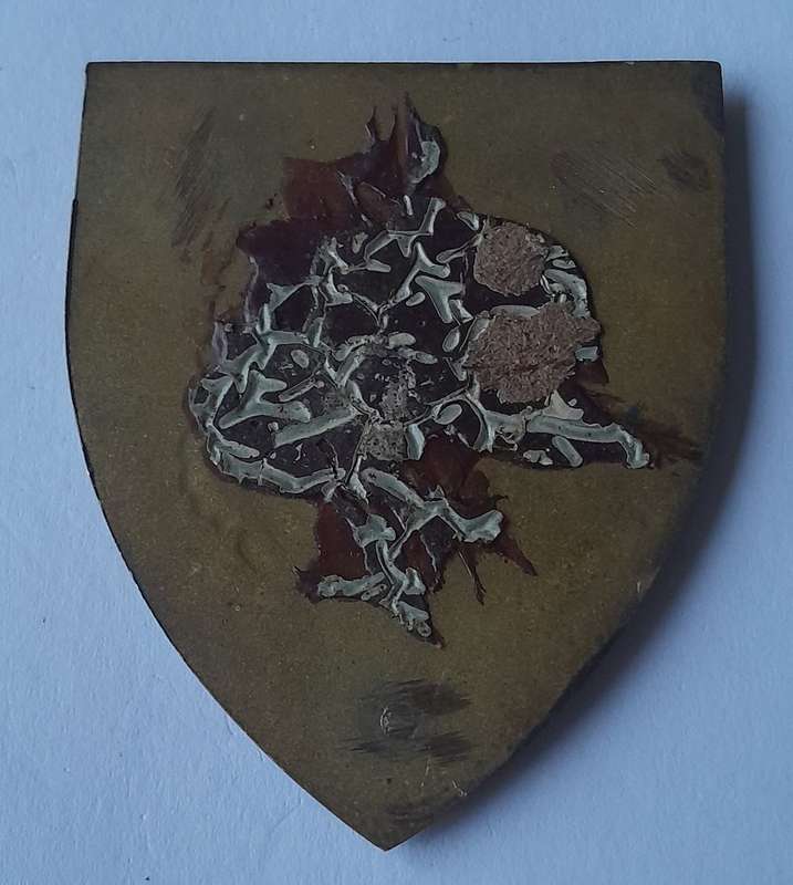 SADF Army Gymnasium Shoulder Flash.  No Pins.