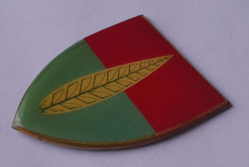 SADF 10 Anti-Aircraft Regiment Shoulder Flash.  No Pins.
