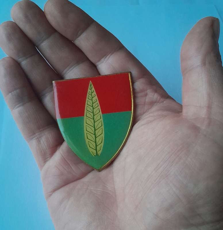 SADF 10 Anti-Aircraft Regiment Shoulder Flash.  No Pins.