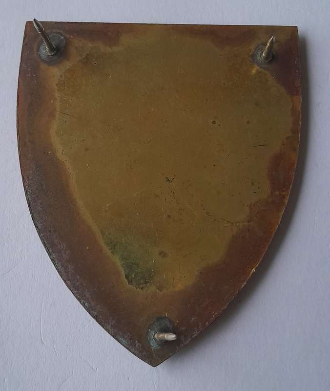 SADF 82 Technical Stores Depot Shoulder Flash.  All Pins Intact.