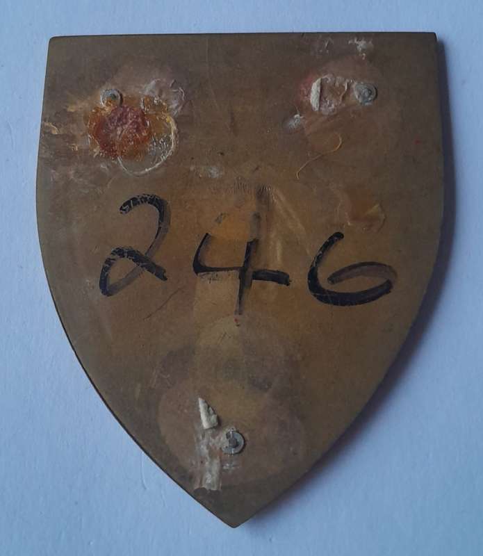 SADF 47 Survey Squadron Shoulder Flash.  No Pins.