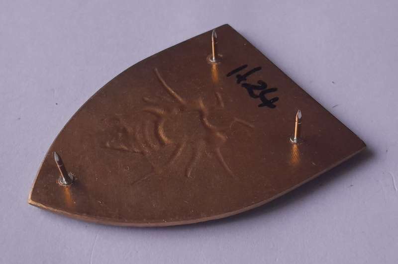 SADF 35 Engineer Support Regiment Shoulder Flash.  All Pins Intact.
