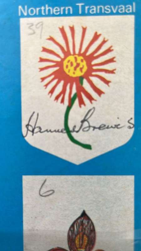 1980 Currie Cup Final Northern Transvaal vs Western Province Programme