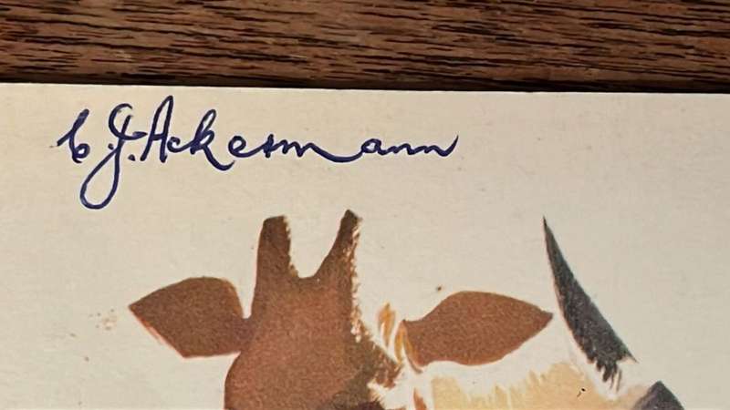 1959 Junior Springboks Dinner Menu Card, Signed, details below