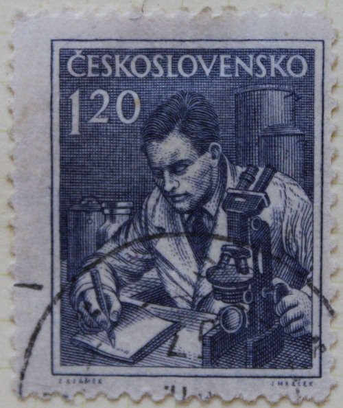 1954 Occupations
