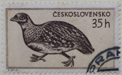 Czechoslovakia 1955 Fauna - Animals and Insects
