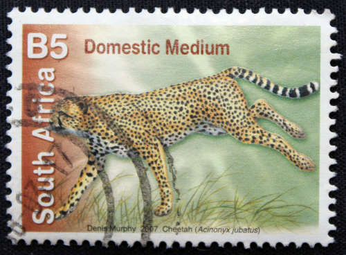 2007 Fauna - Local Wildlife