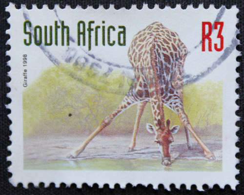 1997 -2000 Endangered Fauna