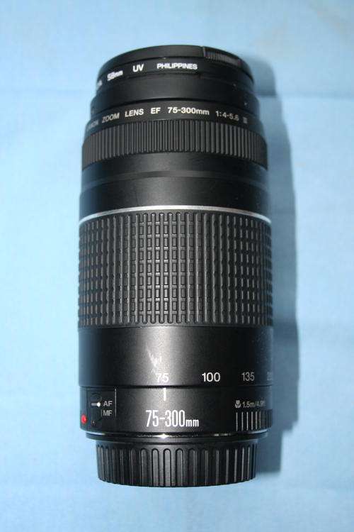 Canon EF 75-300mm f/4-5.6III