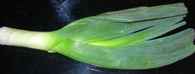 LEEKS CARENTAN - 100 LEEK SEEDS