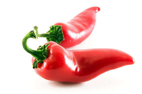CHILLIES - JALAPENO CHILLI 50 CHILLI SEEDS
