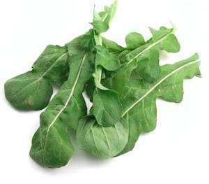 ROCKET SEEDS SWEET ROCKET- 100 ROCKET SEEDS