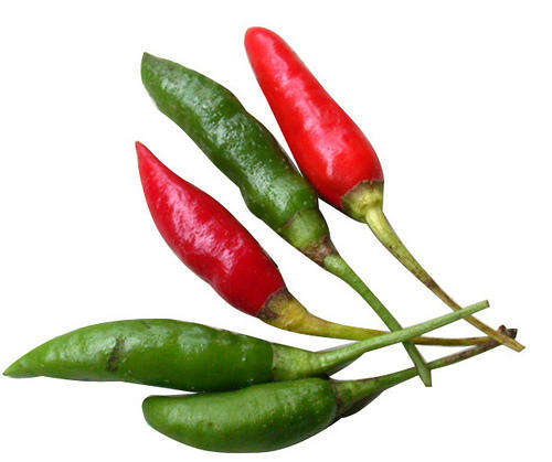 CHILLIES BIRDS EYE CHILLI - 20 CHILLI SEEDS
