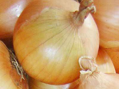 ONION SEEDS TEXAS GRANO - 100 ONION SEEDS