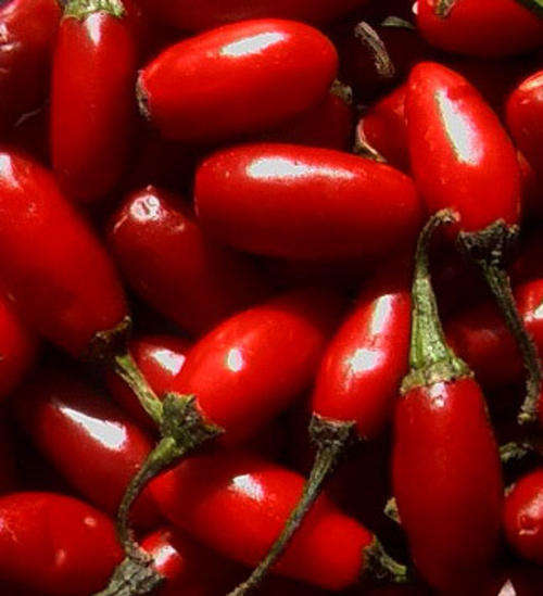 Chilli Seeds Serrano Chilli - 1 gram Chilli Seeds