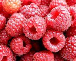 RASPBERRY SEEDS - 10 RASPBERRY SEEDS