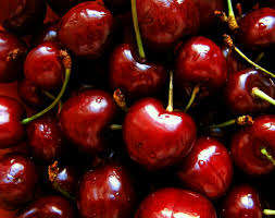 CHERRY TREE SEEDS - 5 CHERRY SEEDS