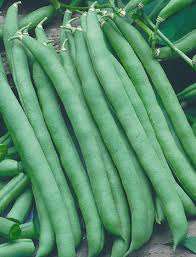Bush Bean Seeds Malelane - 40 Vegetable Seeds