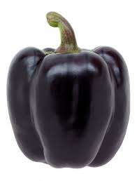 PEPPER SEEDS PURPLE BEAUTY - 10 PEPPER SEEDS