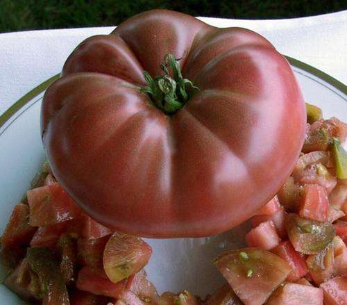 TOMATO SEEDS CHEROKEE PURPLE - 10 TOMATO SEEDS