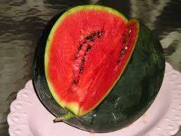 WATERMELON SEEDS SUGAR BABY - 25 WATERMELON SEEDS
